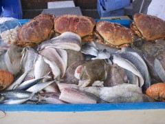 Oakeys Fish & Shellfish of Salcombe