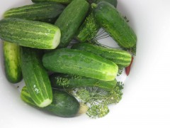 Pickled Cucumbers