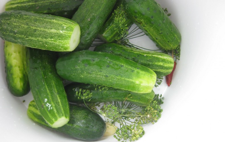 Pickled Cucumbers